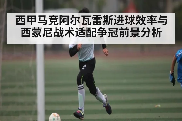 西甲马竞阿尔瓦雷斯进球效率与西蒙尼战术适配争冠前景分析 | Kaiyun